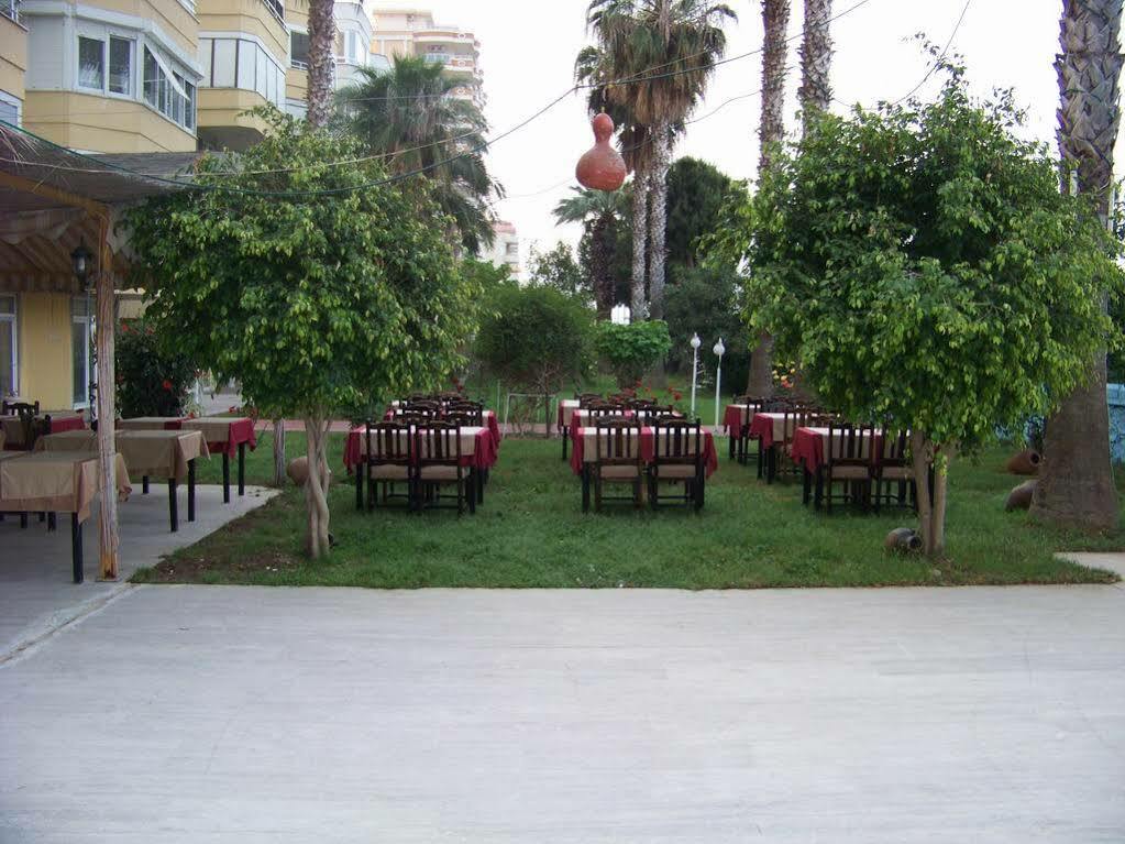 Alanya Rose