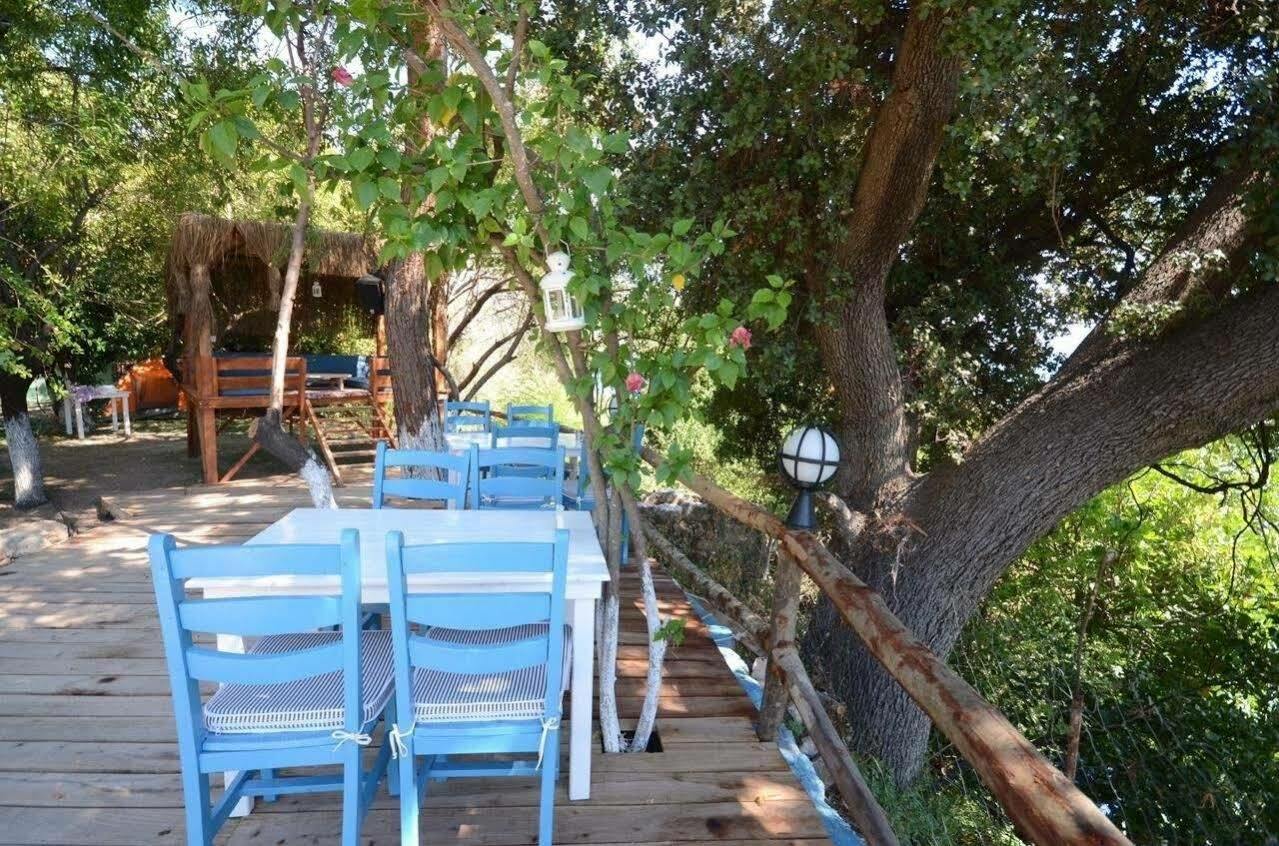 Hotel Lemon Garden Boutique *
