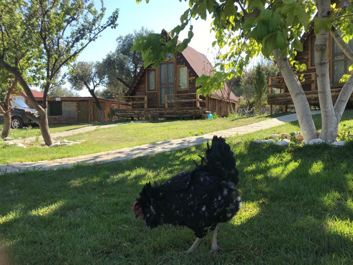 Kazdaglari Ida Natura Bungalov Hotel Hotel