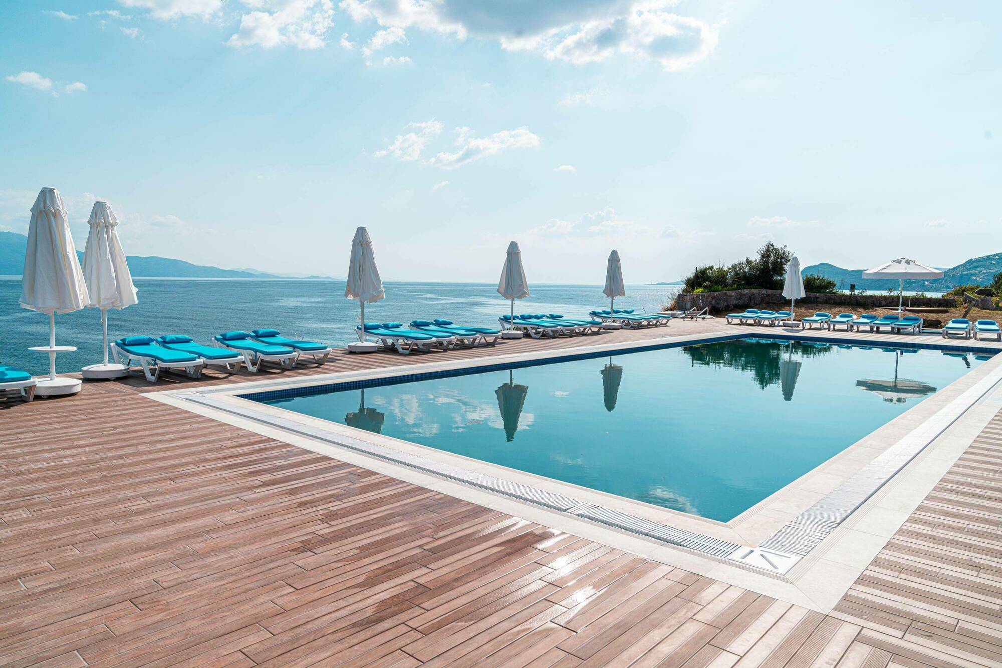 Dove & Assos