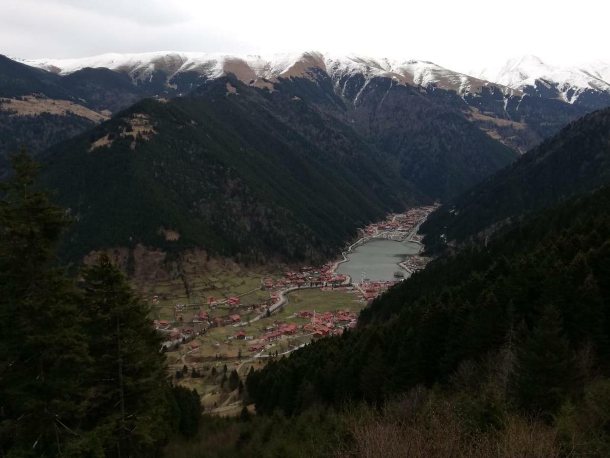 Yesil Kosk Uzungol