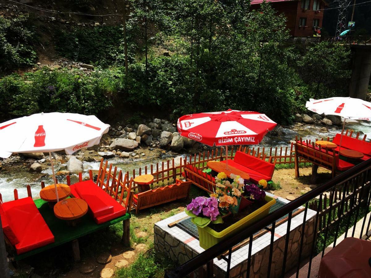 Hotel Avusor