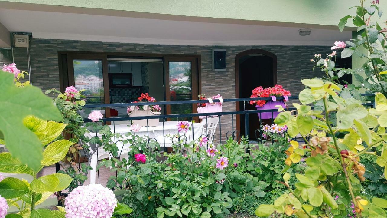 Boztepe Amasra