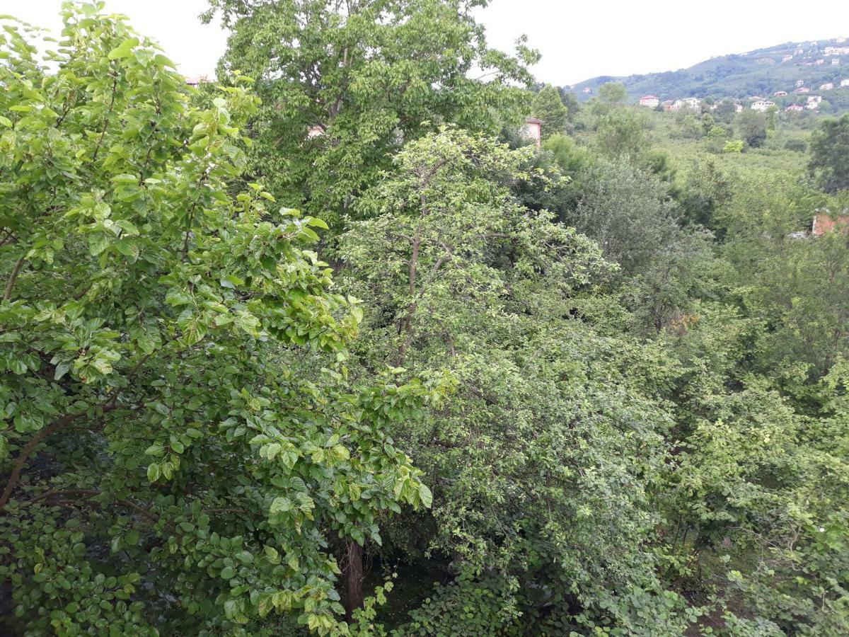Huseyin Neziroglu Konagi Villa