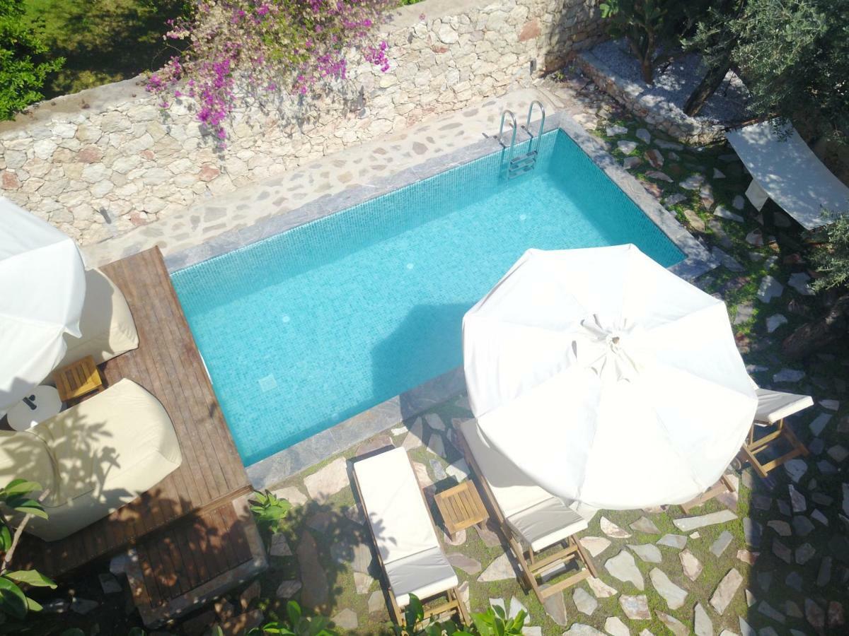 Roxy 3 Bedroom With One Of The Unique Gardens In Villa *