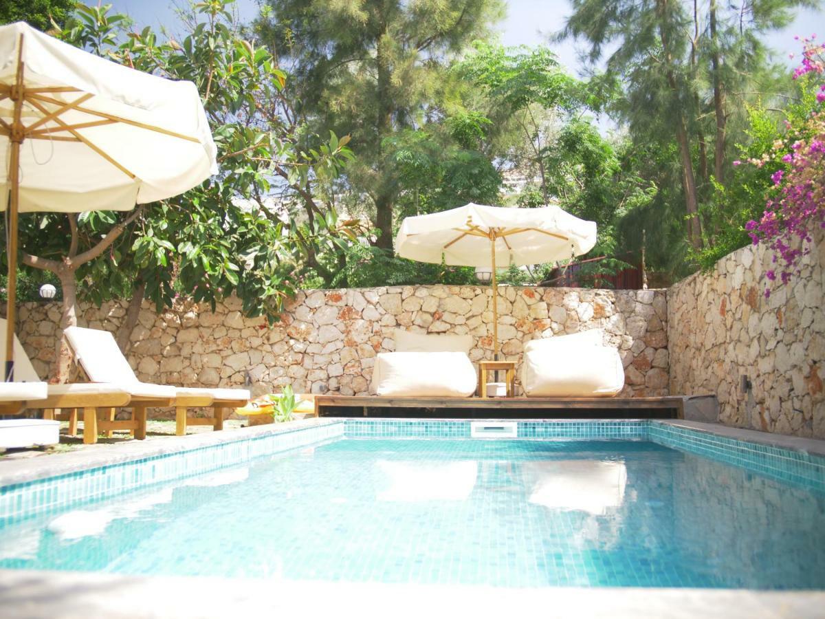 Villa Roxy 3 Bedroom With One Of The Unique Gardens In
