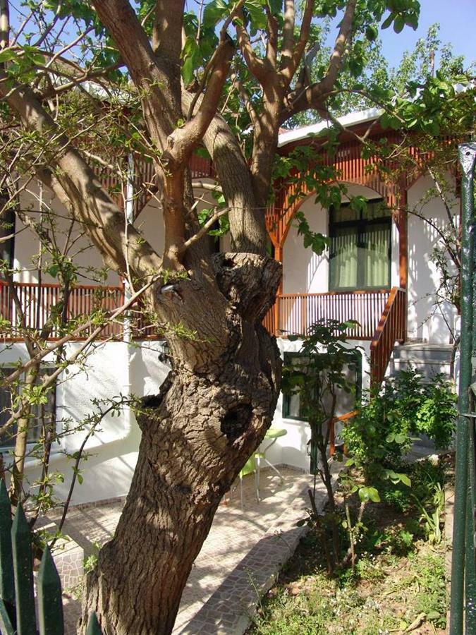 Guest house Orhan Kutbayin Evi *