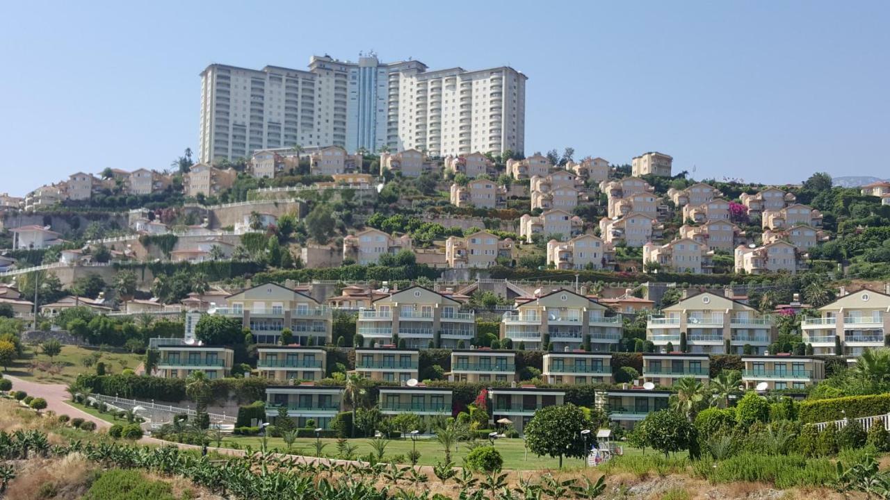 Gold City And *