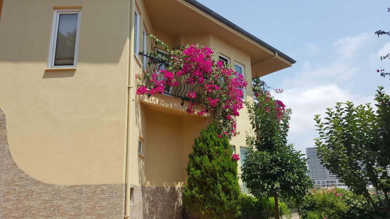 Apartment Gold City And *