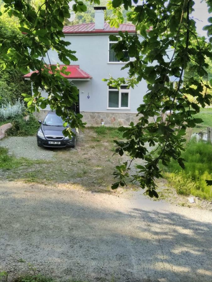 Apartment Cosy Park