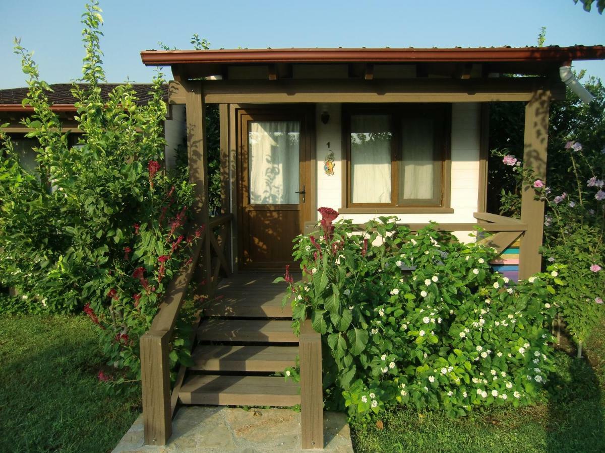 Sedir - Rooms, & 3* Dalyan