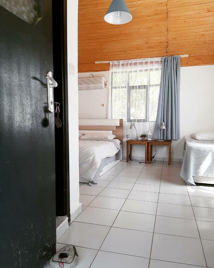 Friends Pension&camping