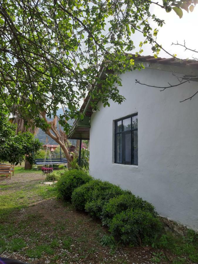 Friends Pension&camping * Cirali