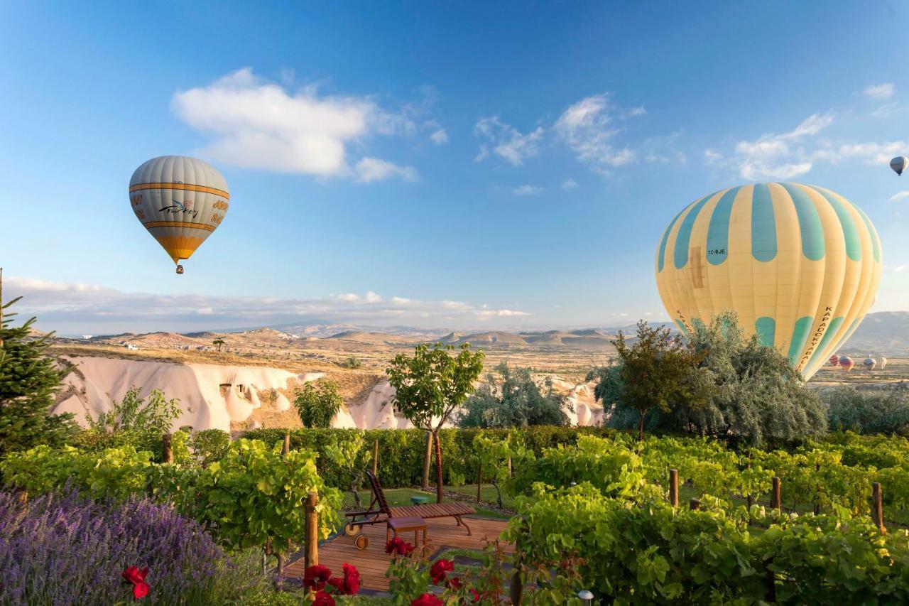 Ariana Sustainable Luxury - Special Category - Cappadocia Hotel 2*