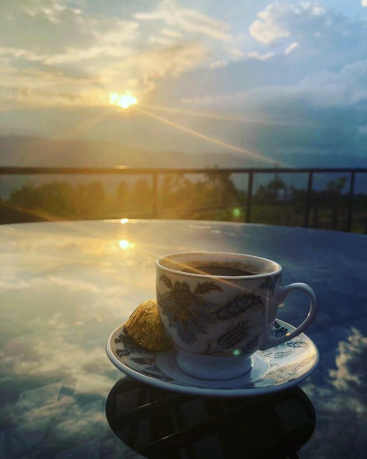Bed & Breakfast Hayat Oksijen Ordu