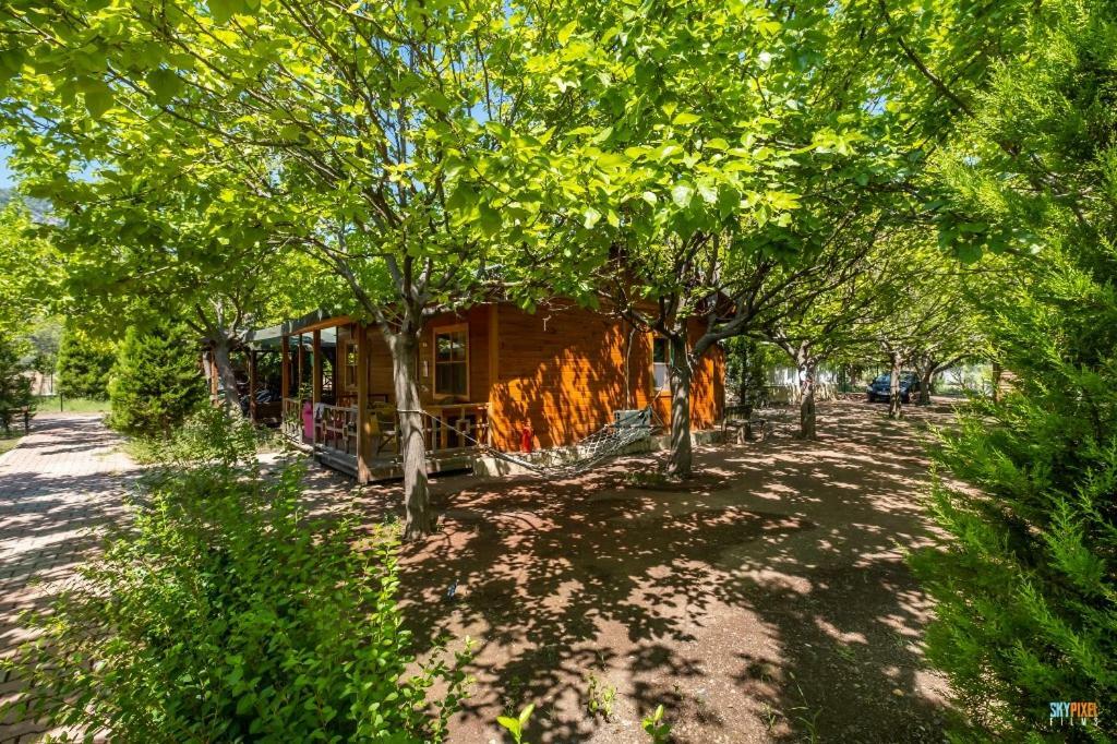 Likya Yanartas Bungalows Homestay *