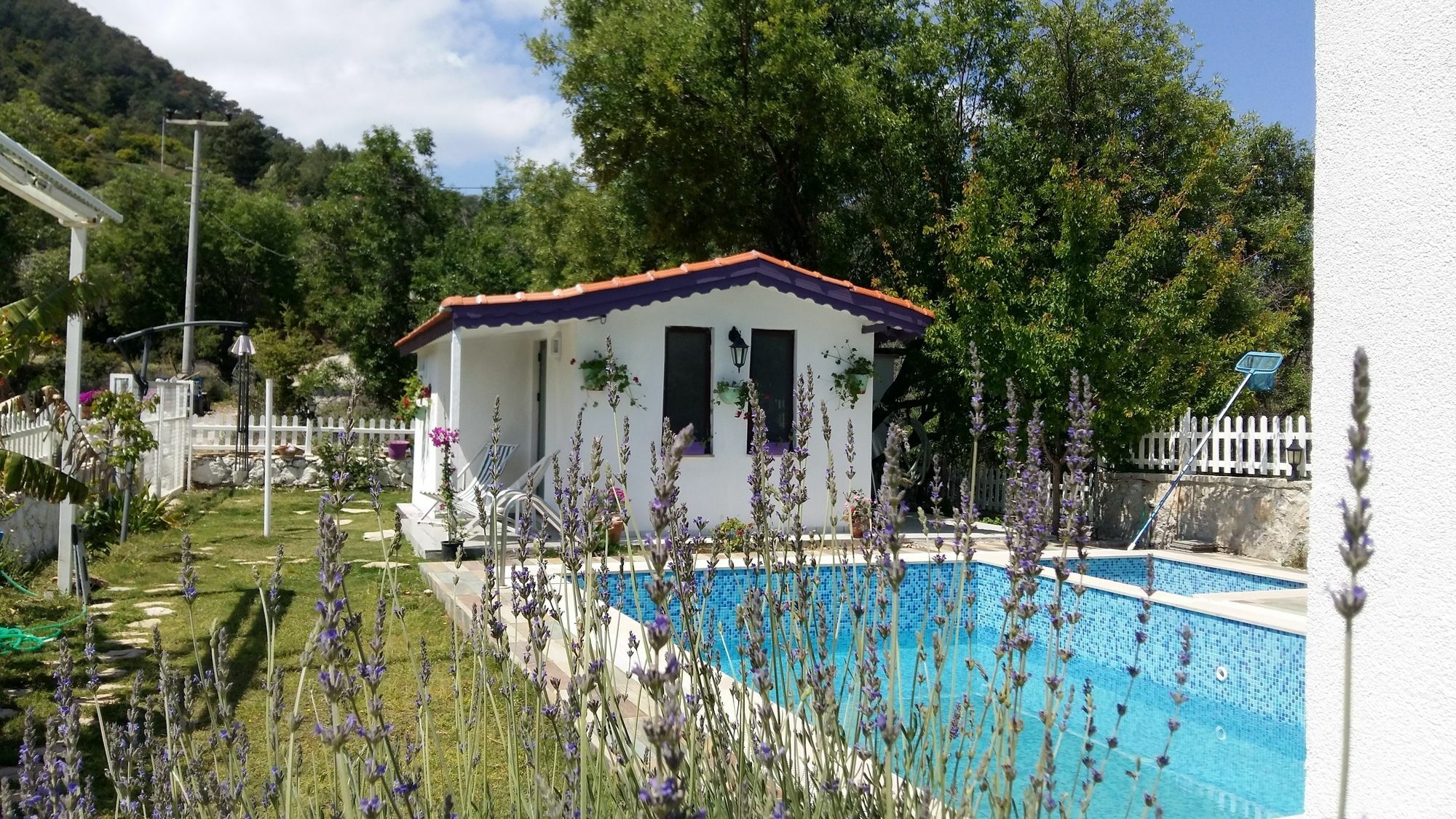 Masal Hotel 3*