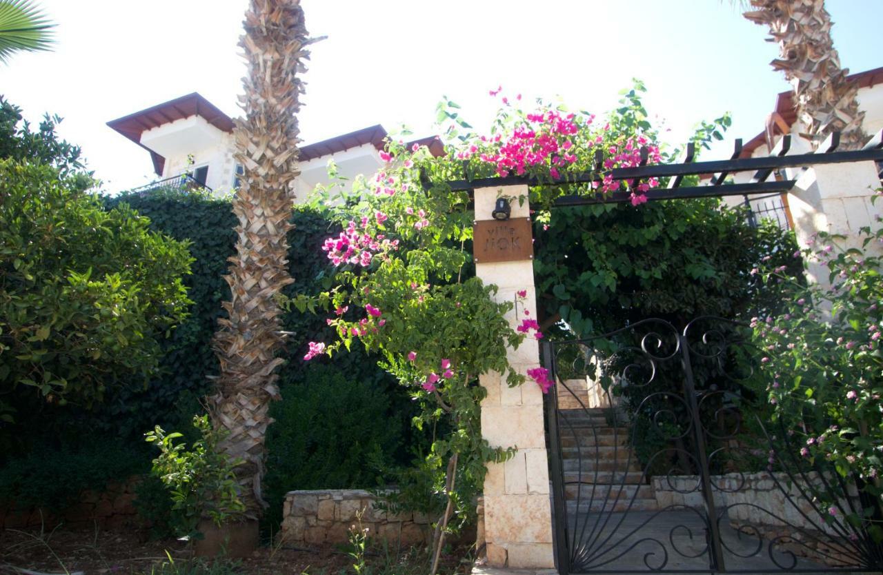 Villa Jiok *