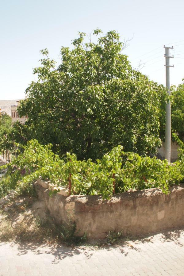 Hotel Emre's Stone House