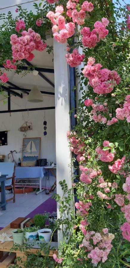 Friends Pension&camping Homestay