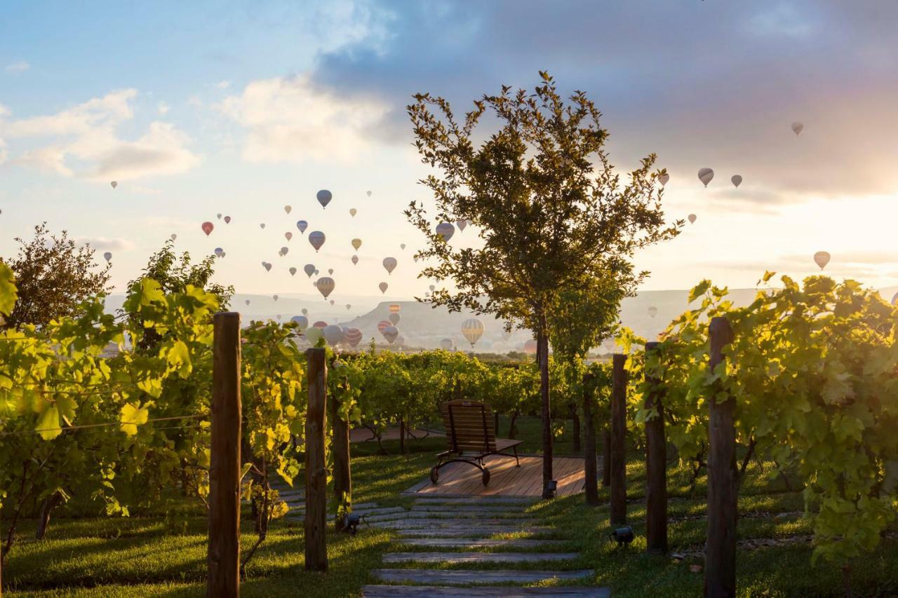 Ariana Sustainable Luxury - Special Category - Cappadocia Hotel 2*