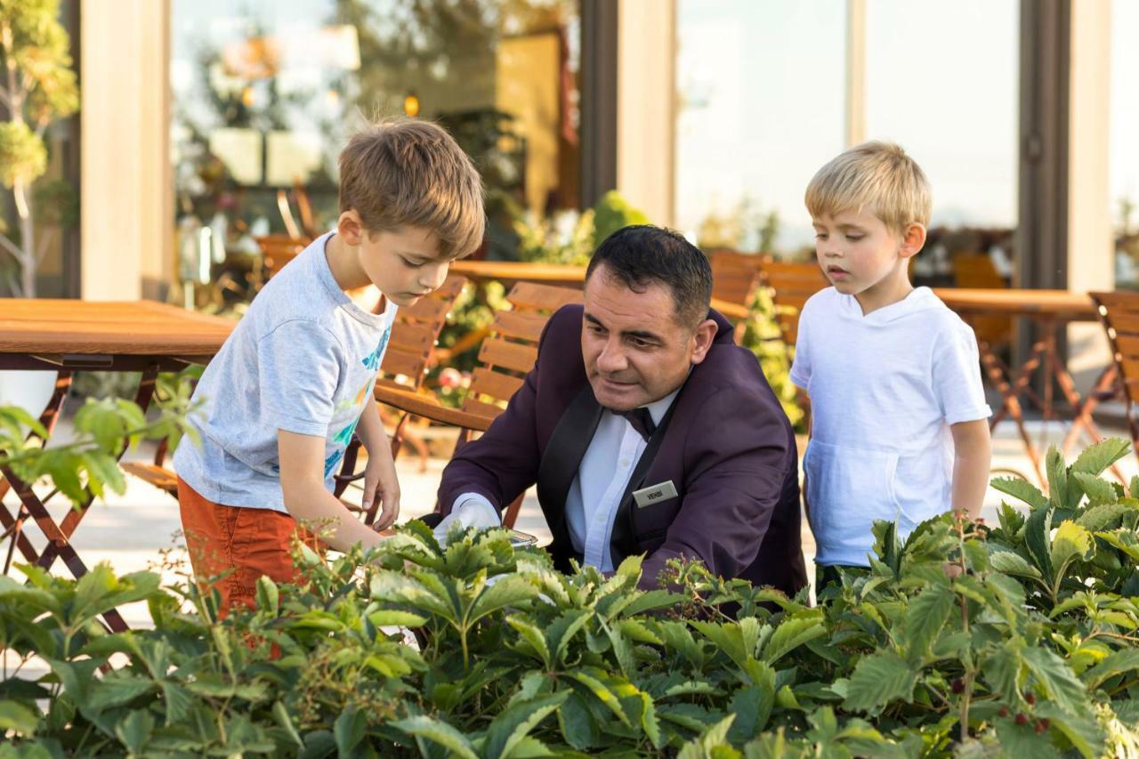 Hotel Ariana Sustainable Luxury - Special Category - Cappadocia