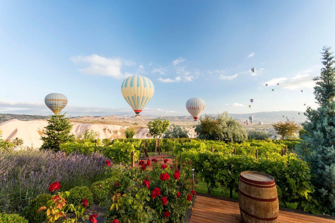 Ariana Sustainable Luxury - Special Category - Cappadocia Hotel 2*