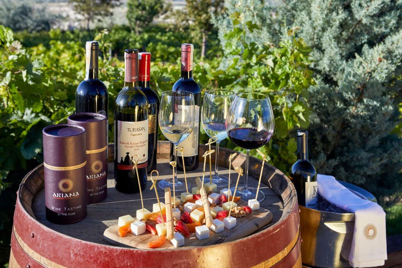 Ariana Sustainable Luxury - Special Category - Cappadocia