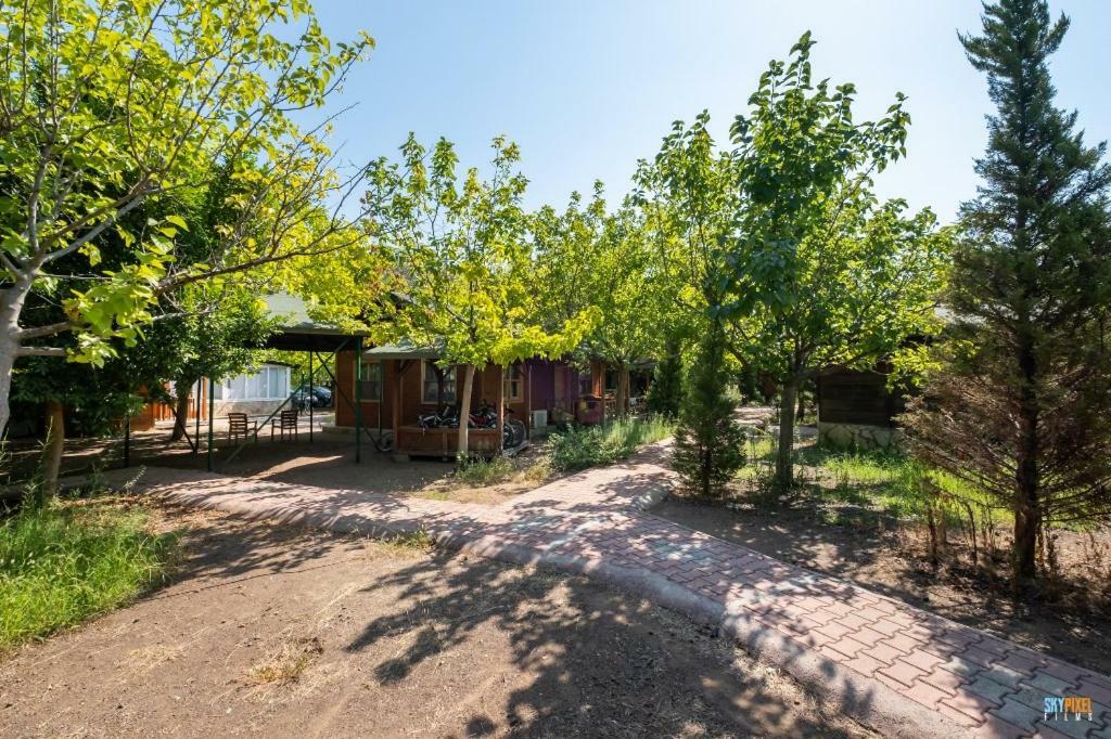 Homestay Likya Yanartas Bungalows