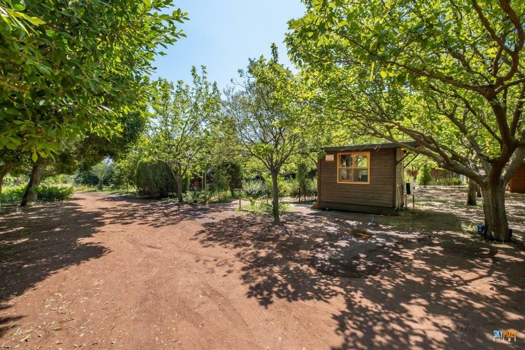 Homestay Likya Yanartas Bungalows *