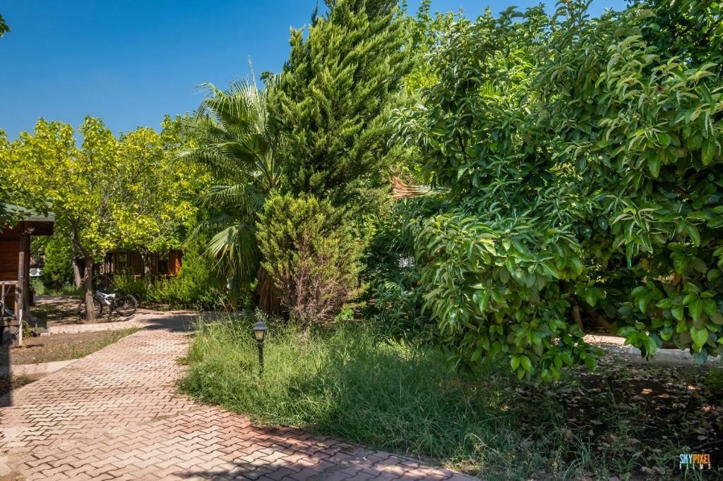 Homestay Likya Yanartas Bungalows Cirali