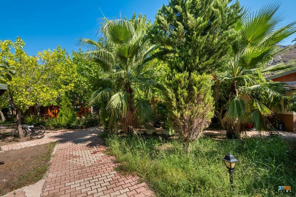 Likya Yanartas Bungalows Homestay Cirali