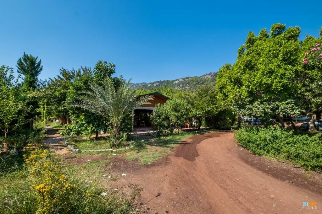 Homestay Likya Yanartas Bungalows