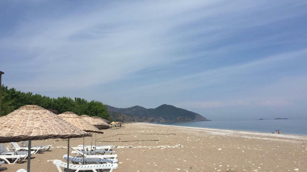 Homestay Oblomov Cirali