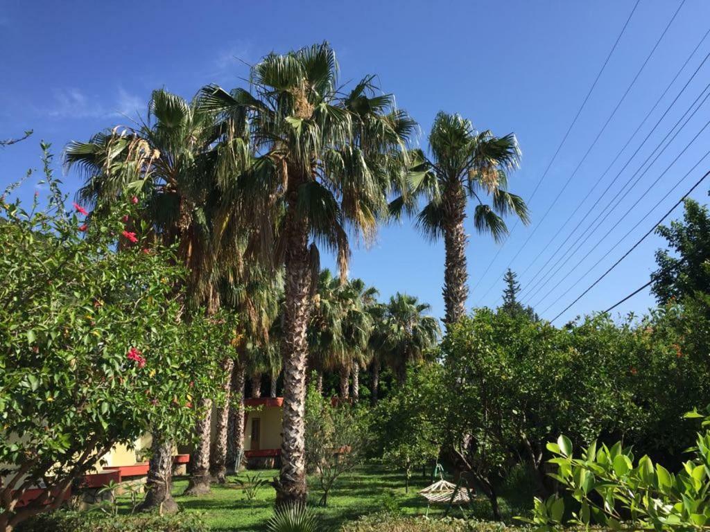 Oblomov Homestay