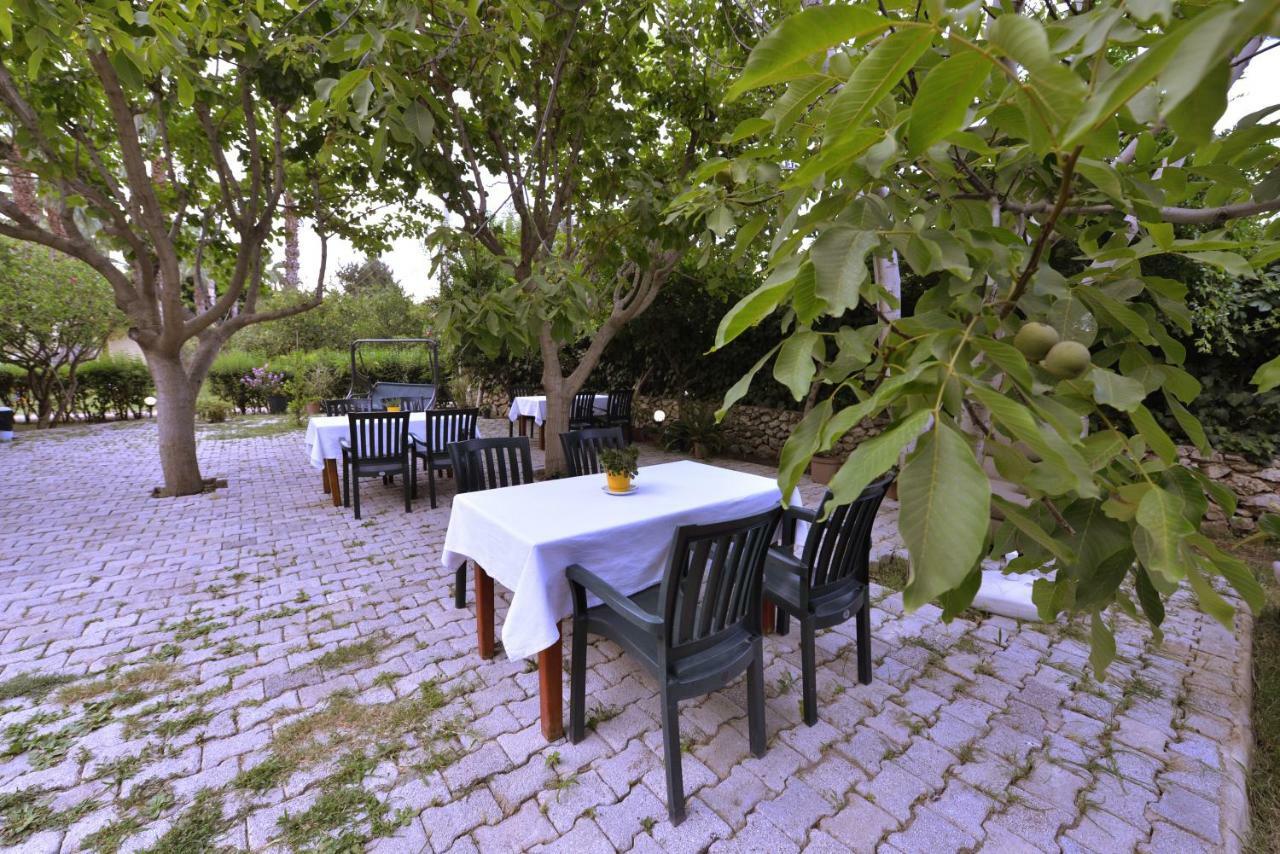 Homestay Oblomov Cirali