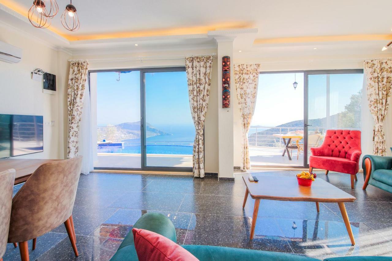 Gelincik- Hill Kalkan