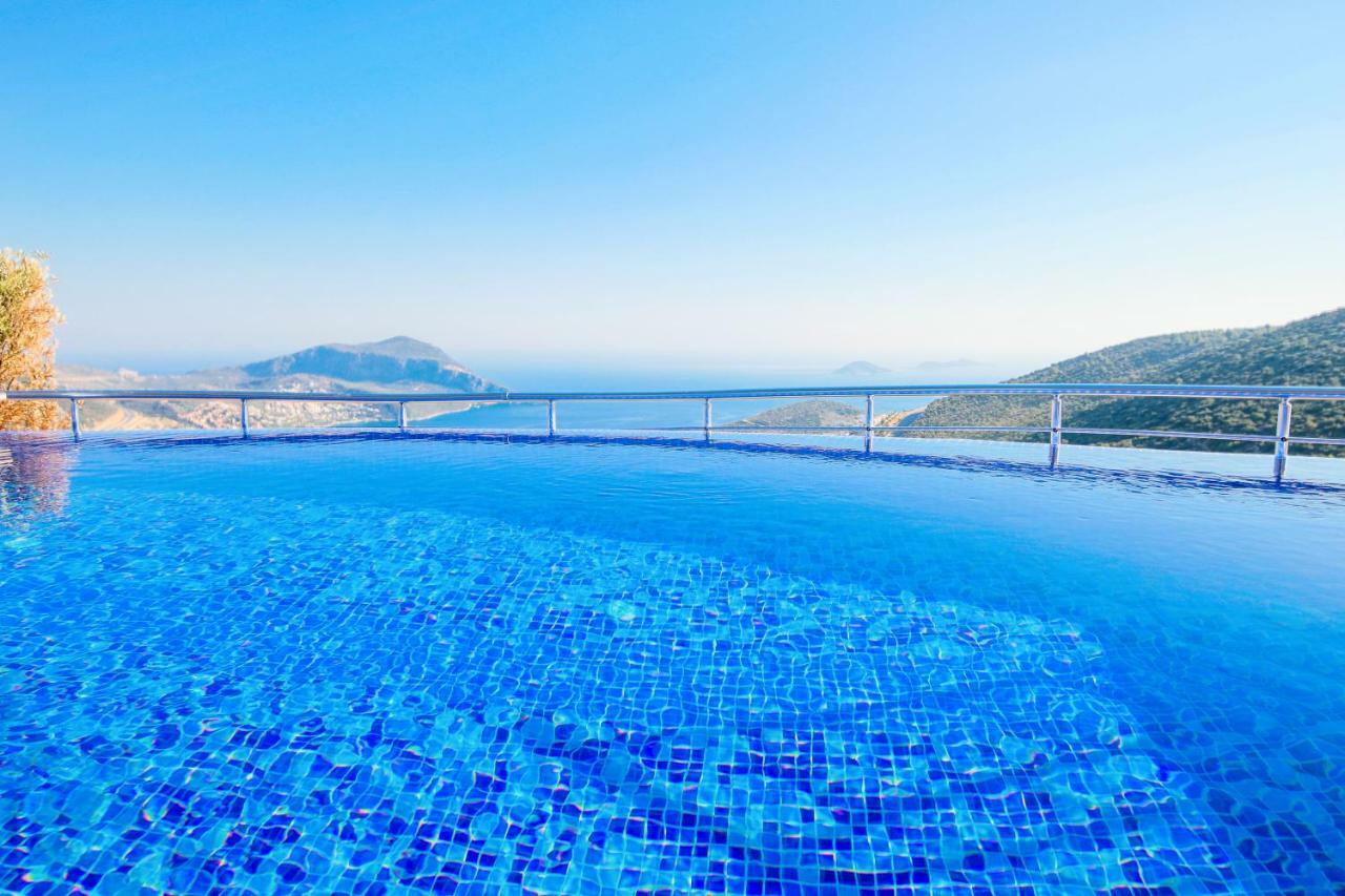 Gelincik- Hill Kalkan