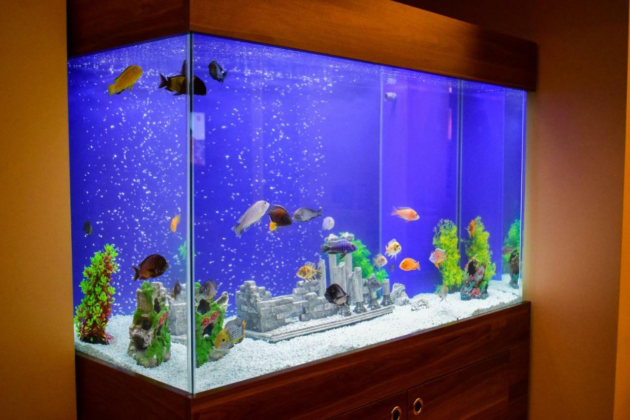 Mekke Hotel Istanbul Hotel