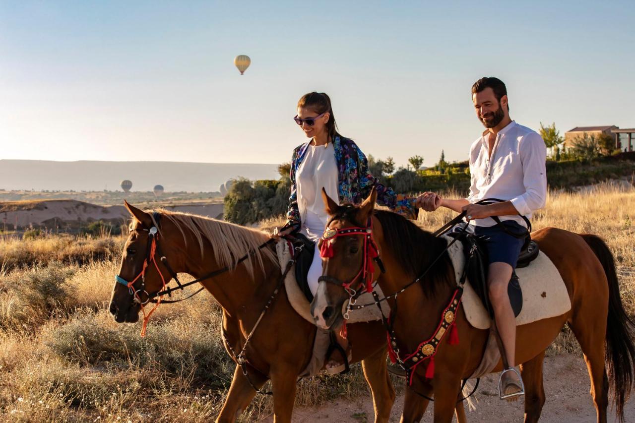 Ariana Sustainable Luxury - Special Category - Cappadocia Hotel