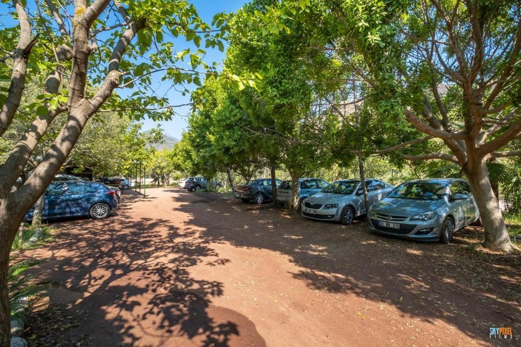 Likya Yanartas Bungalows Homestay