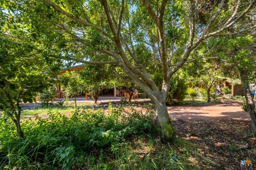 Likya Yanartas Bungalows Cirali