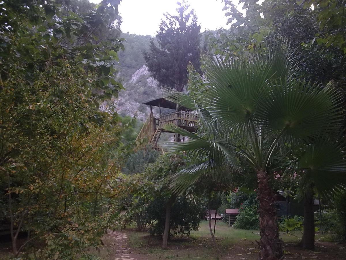 Kibala