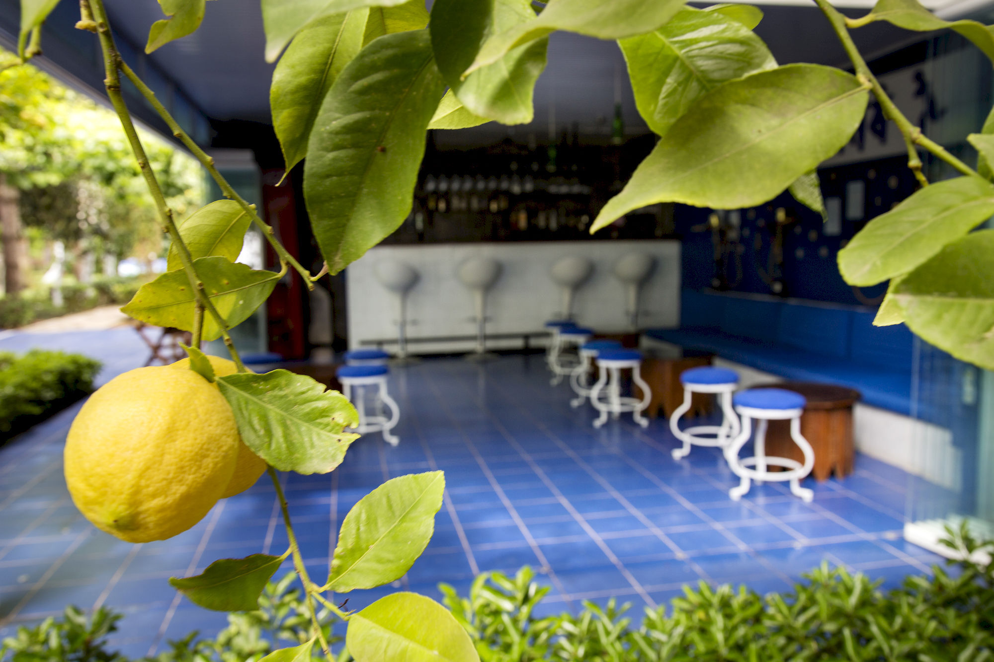 Holiday park Blue & White 3*