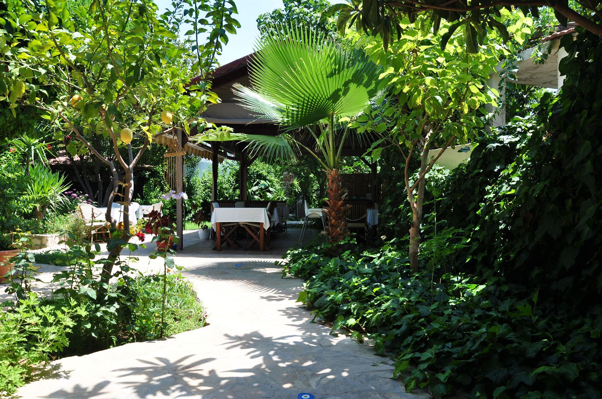 Hotel Monte