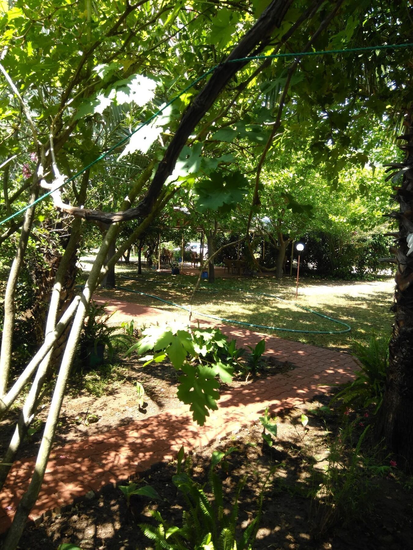 Armina Lodge
