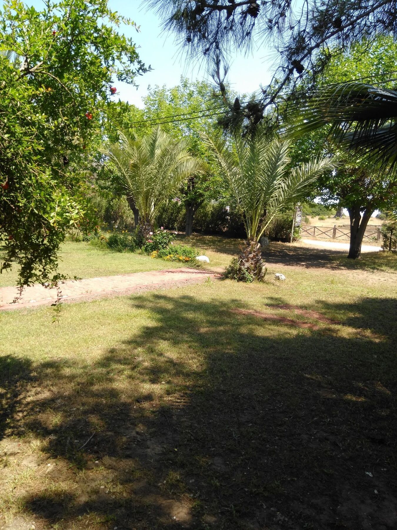 Lodge Armina Cirali