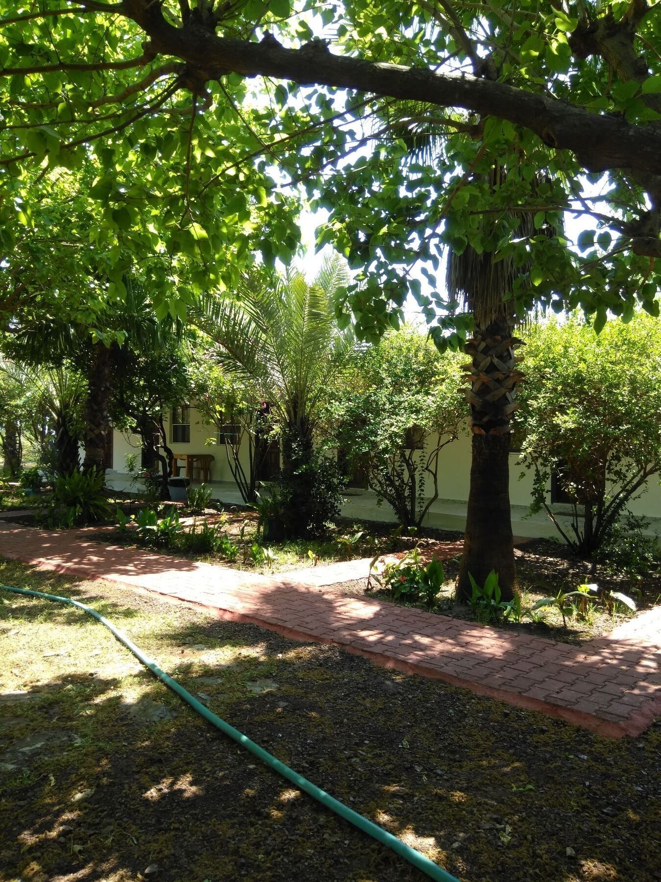Armina Lodge Cirali