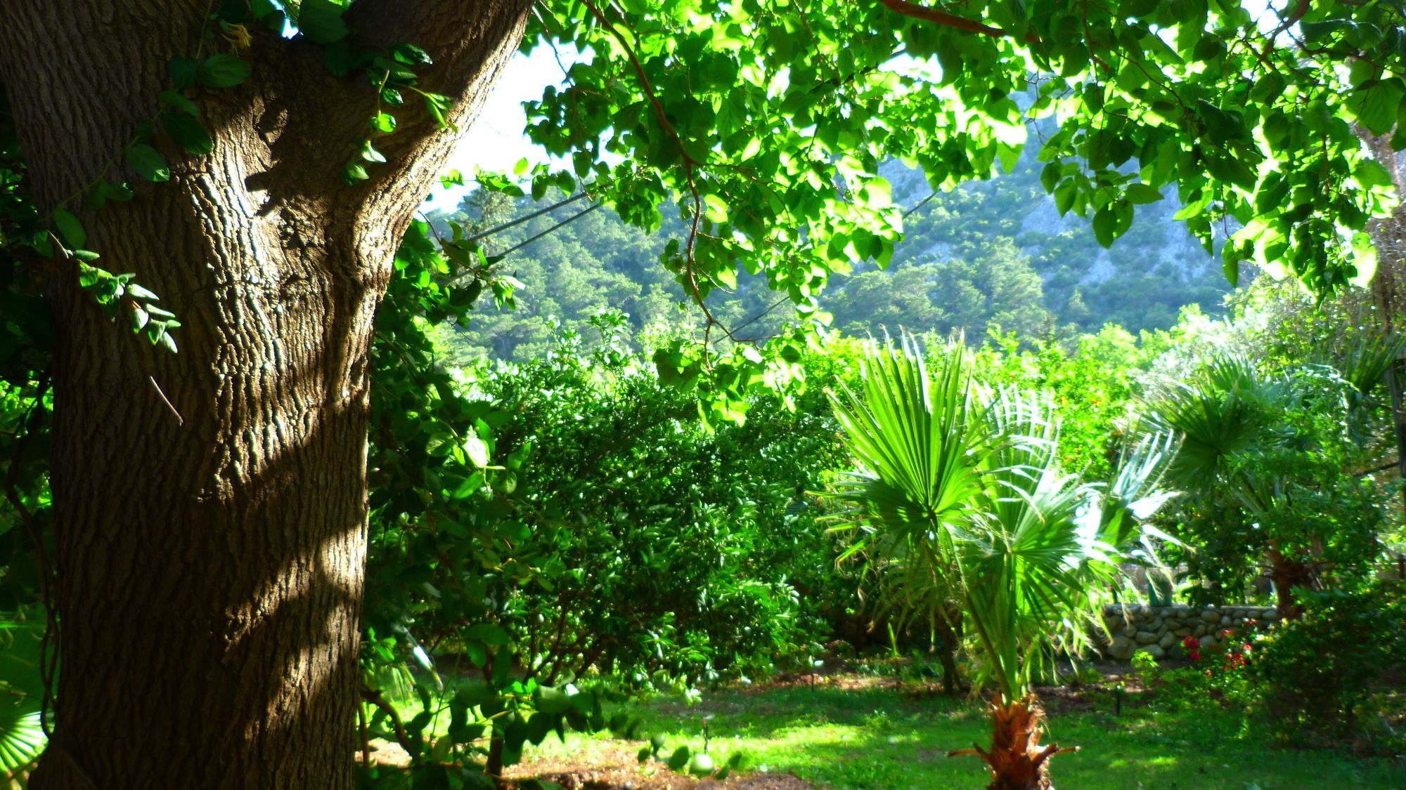 Simge Guest house