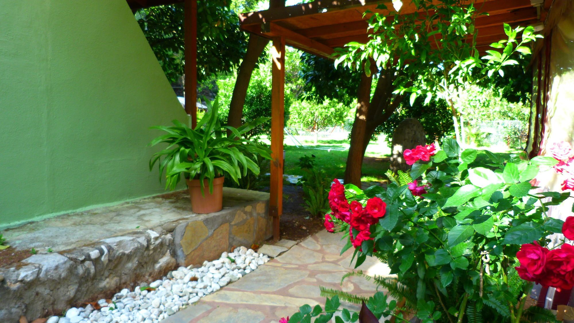Guest house Simge Cirali